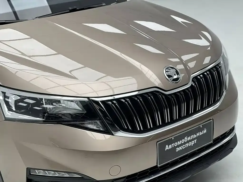 Skoda Kamiq — фото 3