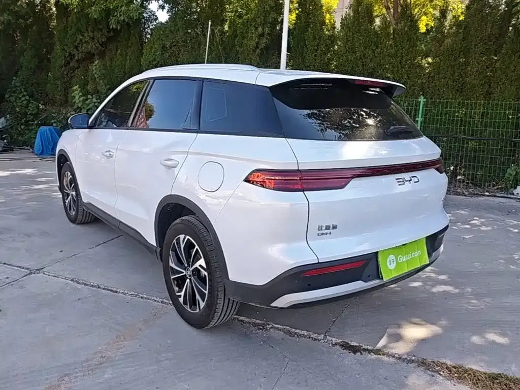 BYD Pro New Energy — фото 9
