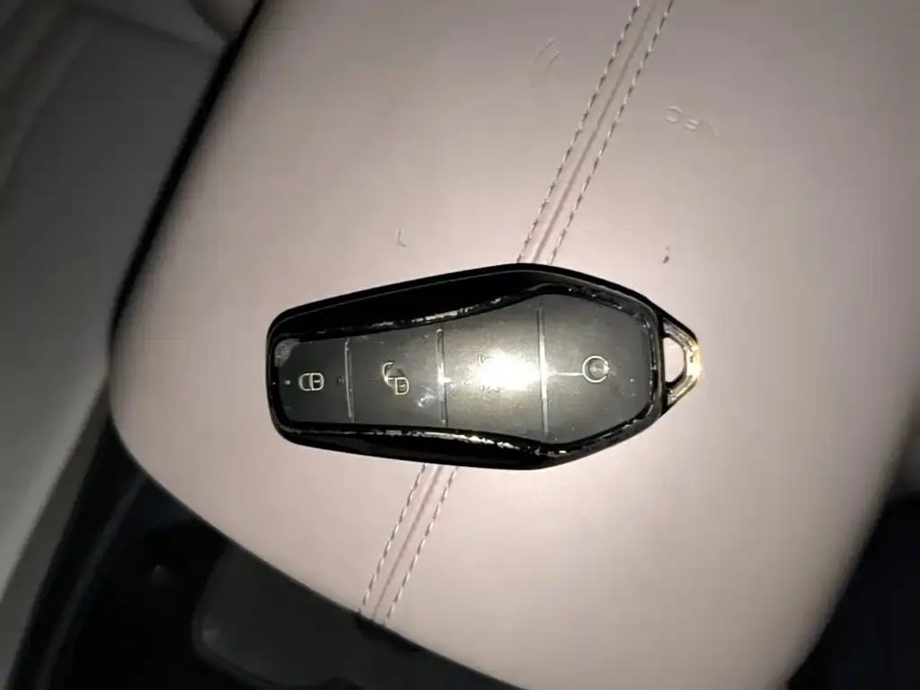BYD Pro New Energy — фото 2