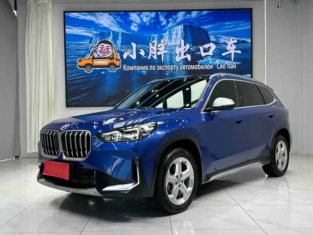 BMW X1 — фото 1