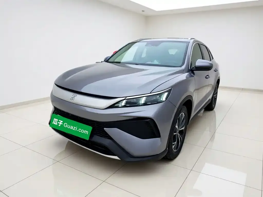 BYD Pro New Energy — фото 1