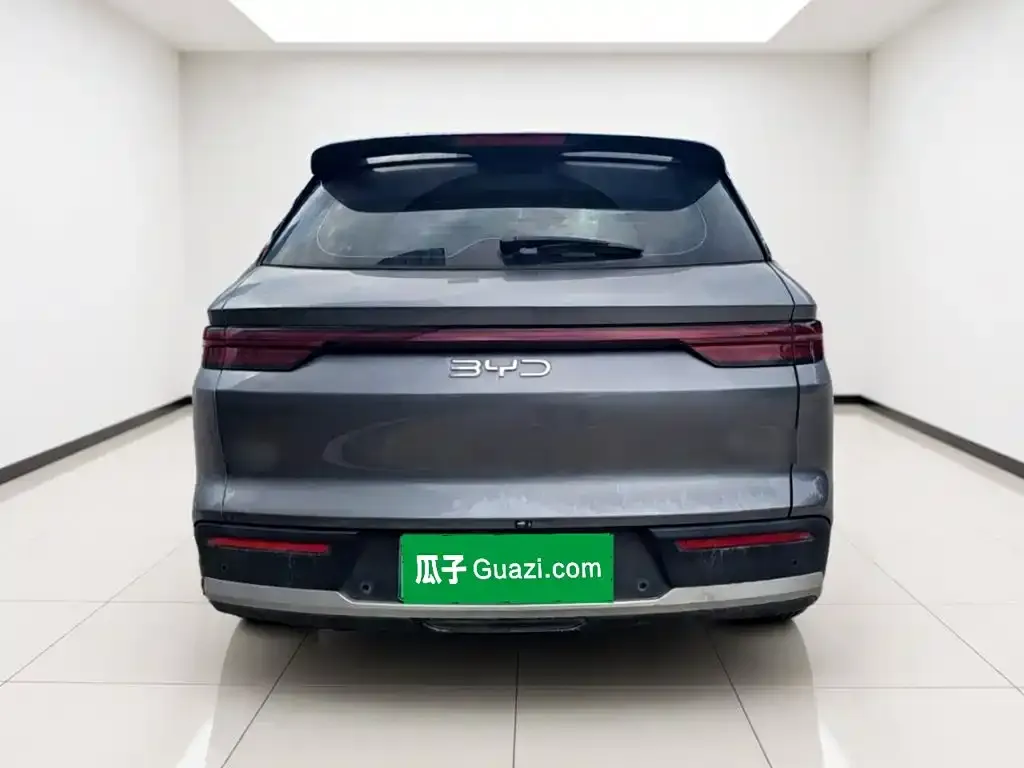BYD Pro New Energy — фото 2