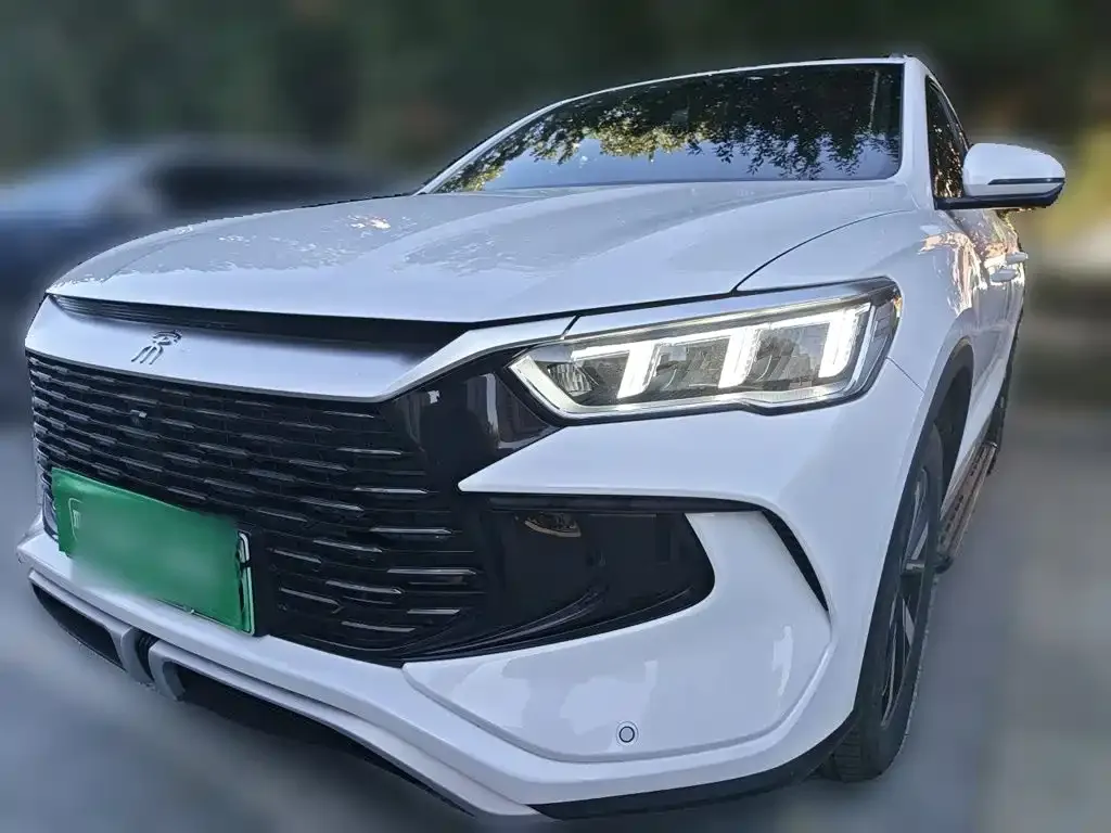 BYD Pro New Energy — фото 1