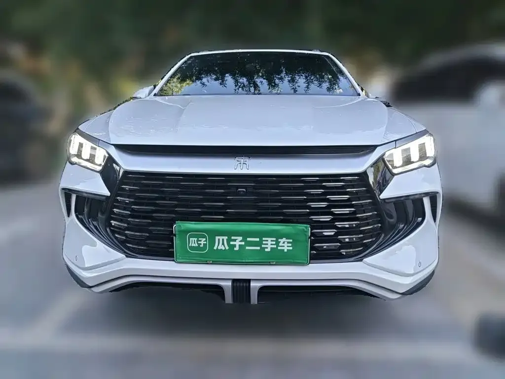 BYD Pro New Energy — фото 3