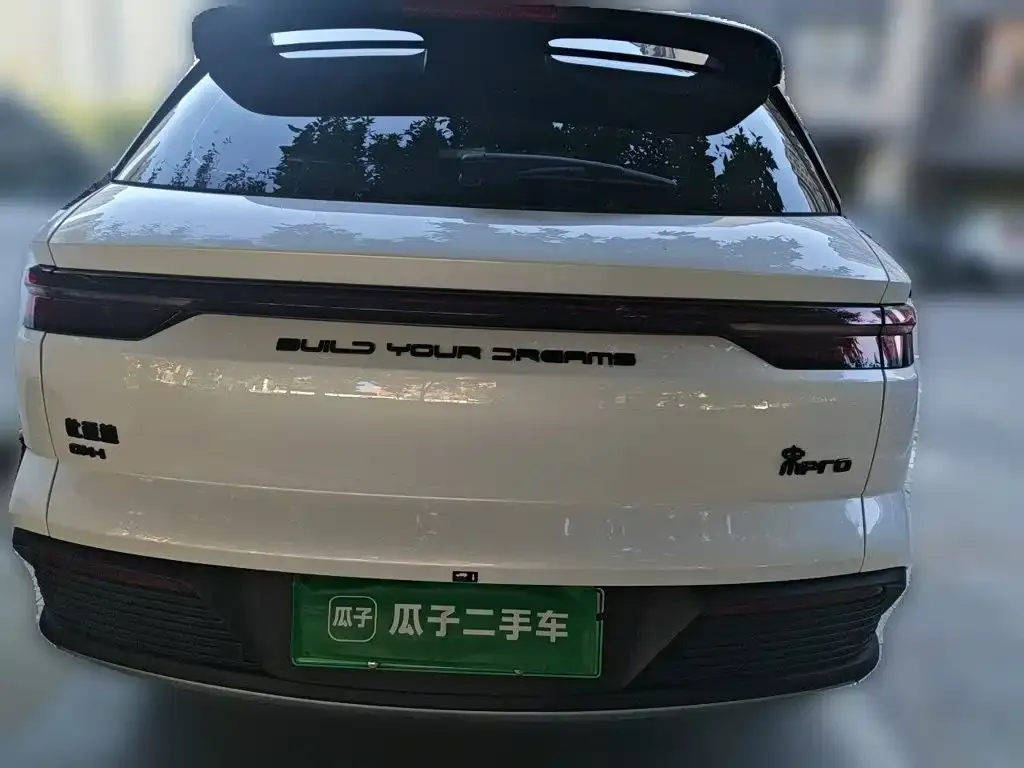 BYD Pro New Energy — фото 4