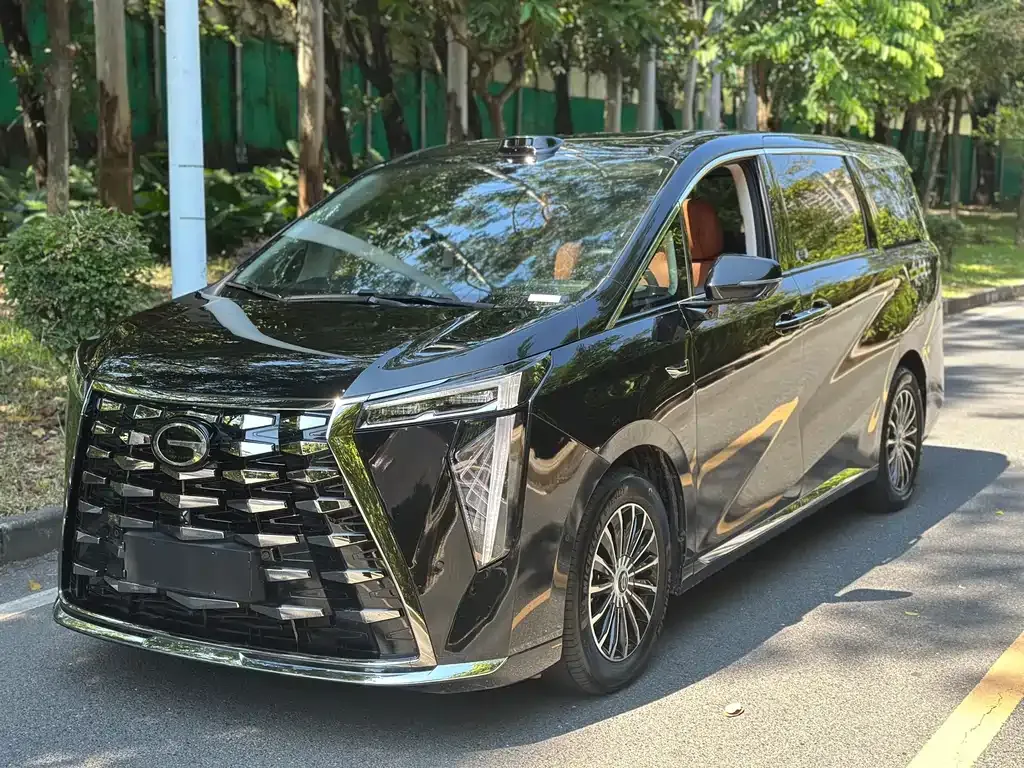 GAC Motor Trumpchi Xiangwang M8 — фото 1
