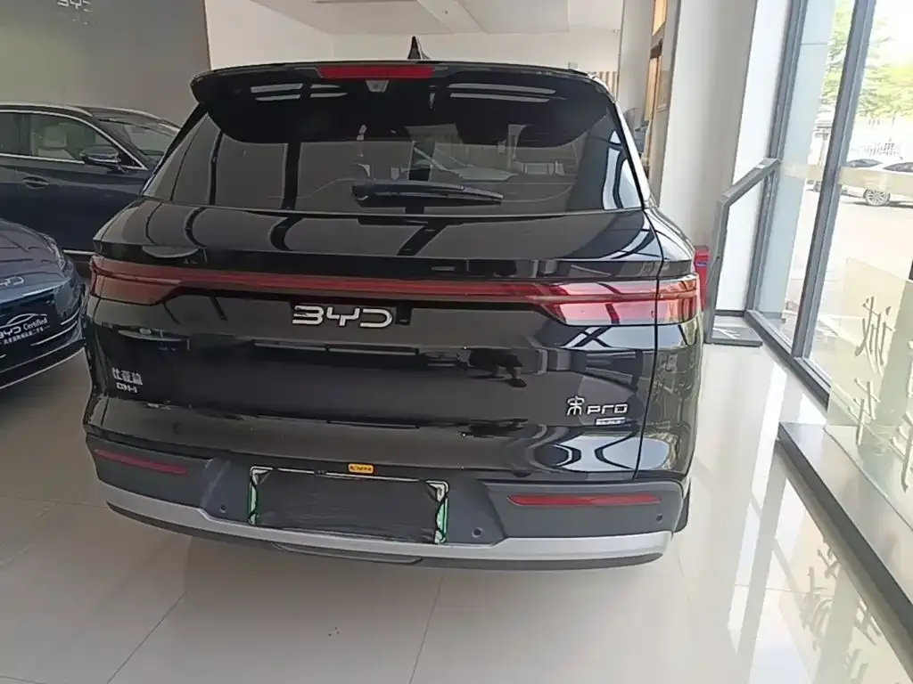 BYD Pro New Energy — фото 2