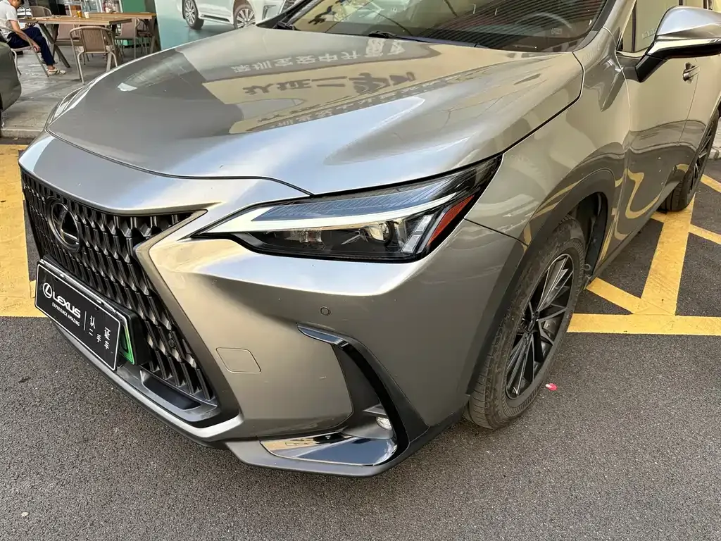 Lexus NX New Energy — фото 6