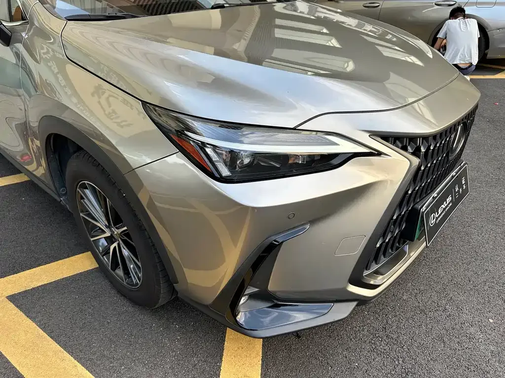 Lexus NX New Energy — фото 8