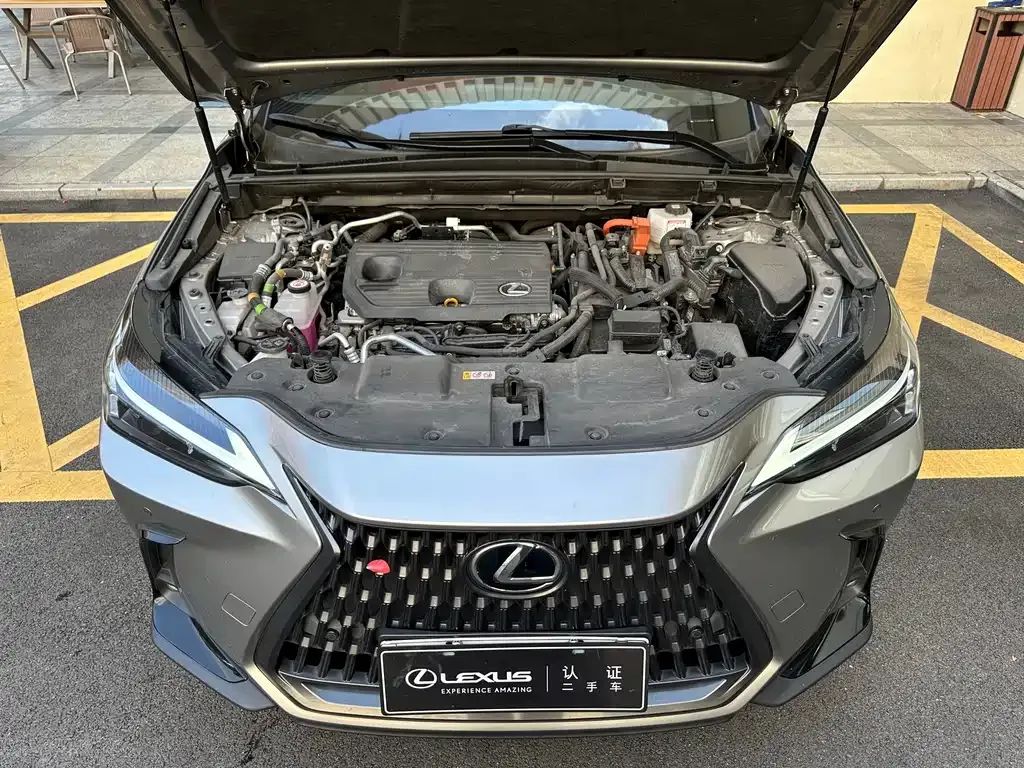 Lexus NX New Energy — фото 7