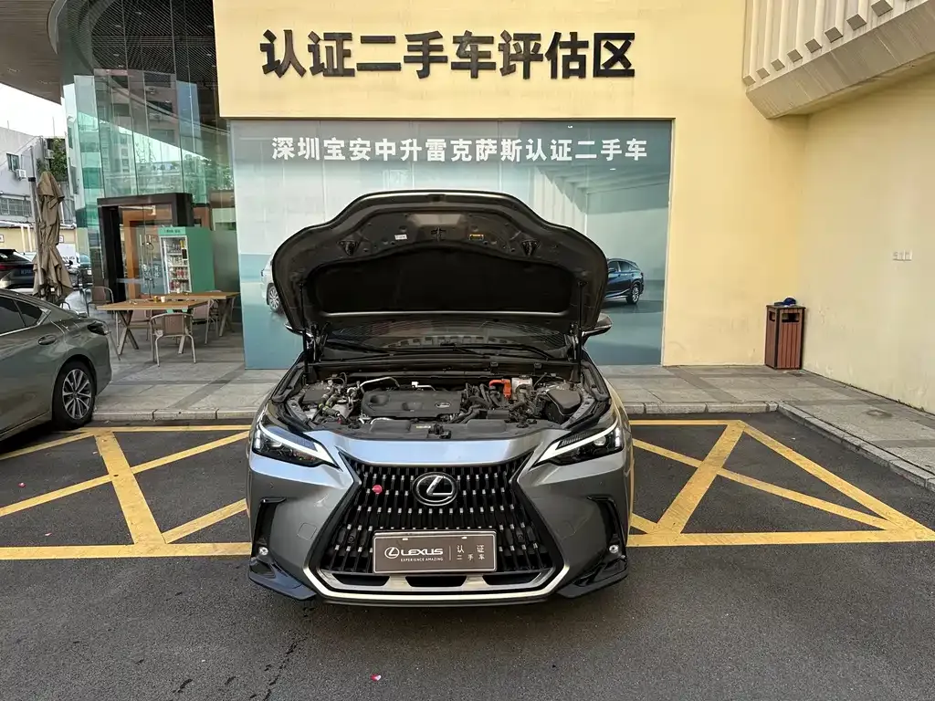 Lexus NX New Energy — фото 5