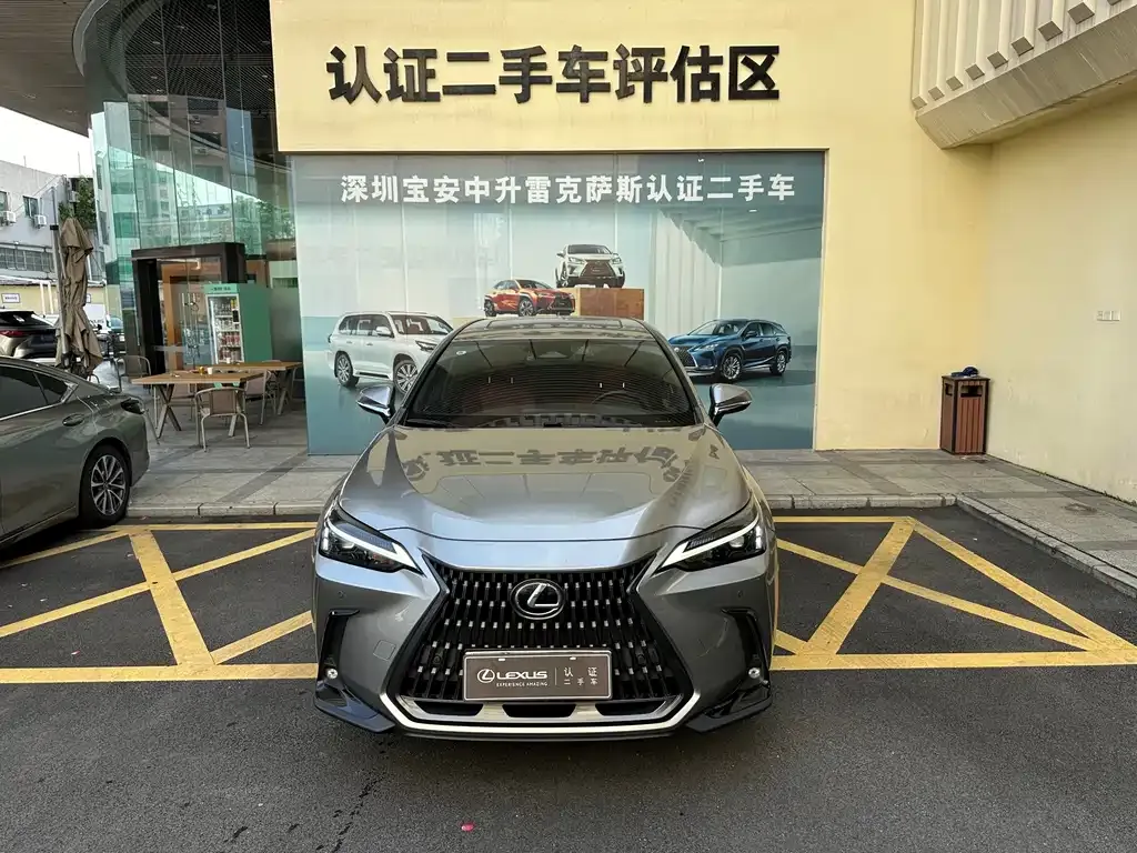 Lexus NX New Energy — фото 9
