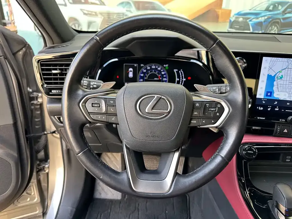 Lexus NX New Energy — фото 10