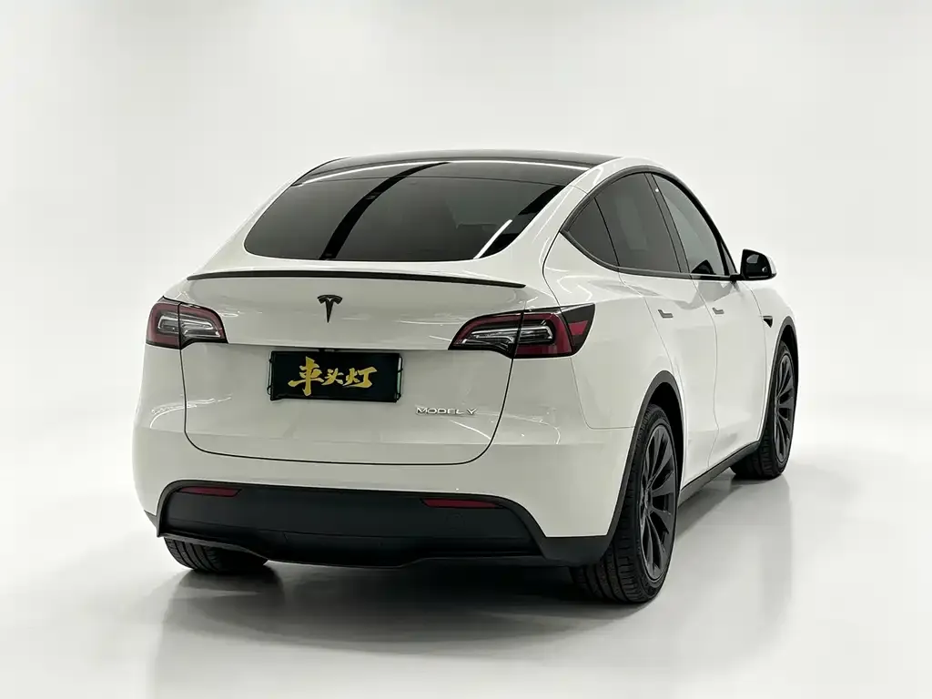 Tesla Model Y — фото 2