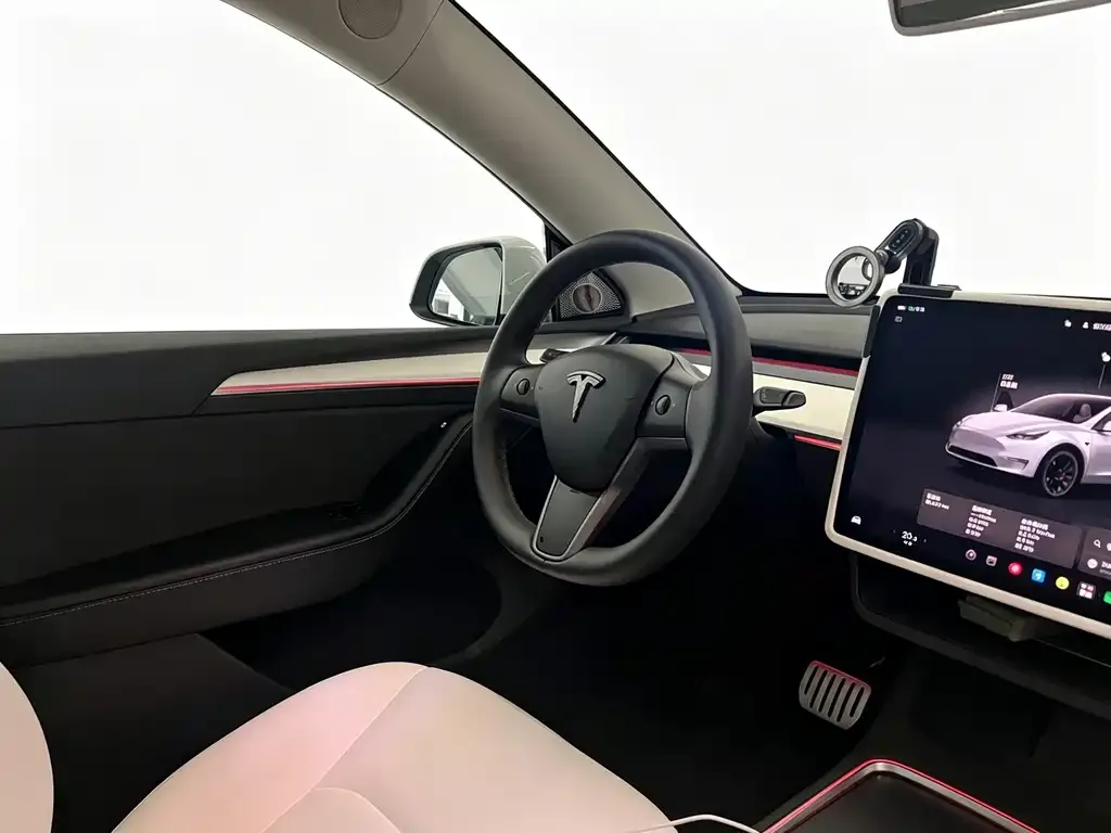 Tesla Model Y — фото 10