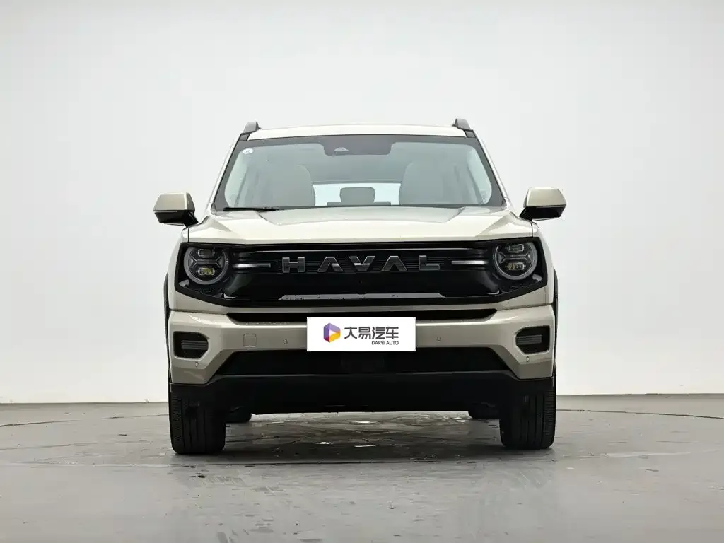 Haval Big Dog PLUS New Energy — фото 4