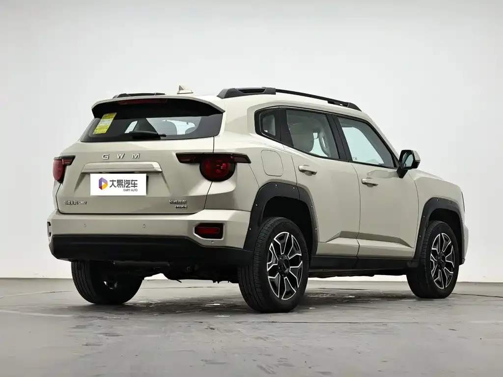 Haval Big Dog PLUS New Energy — фото 9