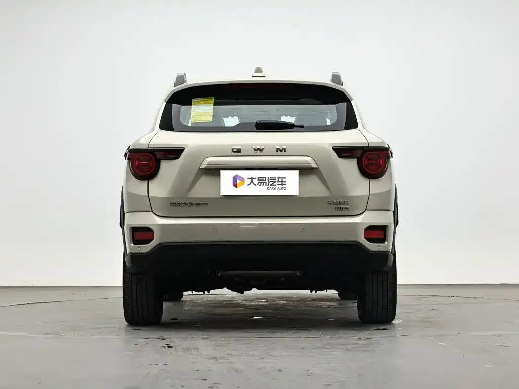 Haval Big Dog PLUS New Energy — фото 2
