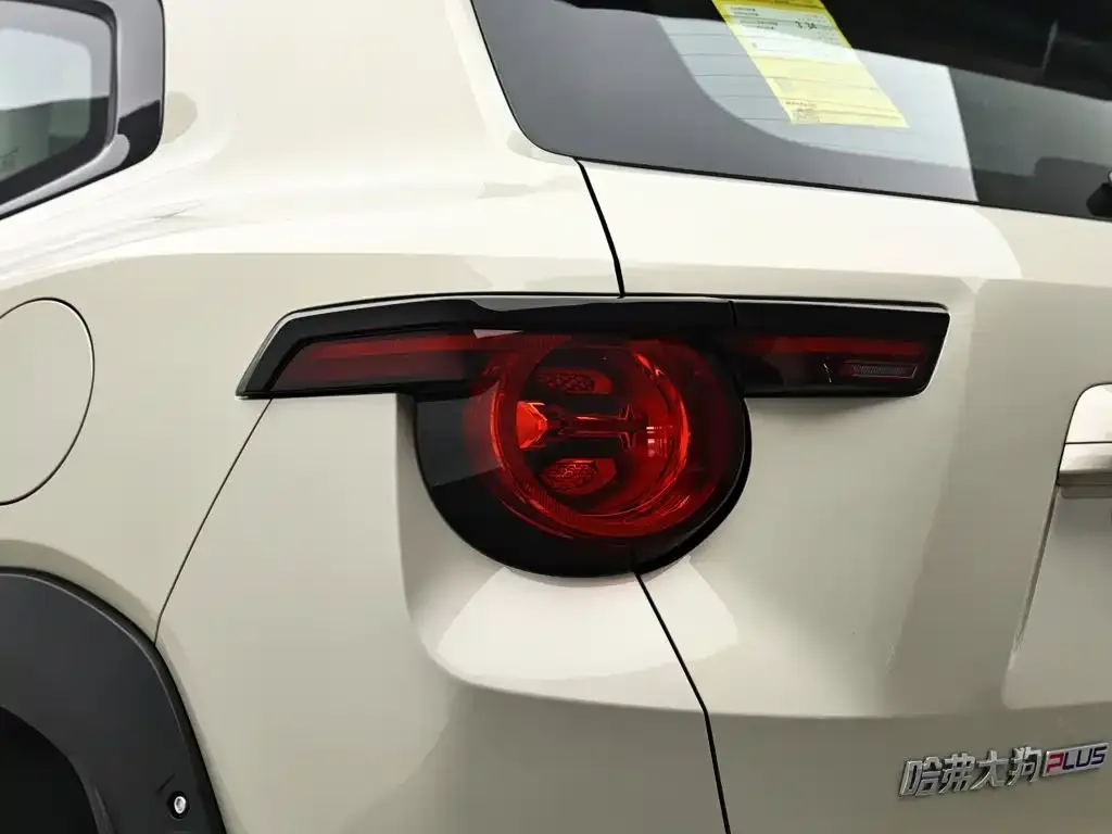 Haval Big Dog PLUS New Energy — фото 7