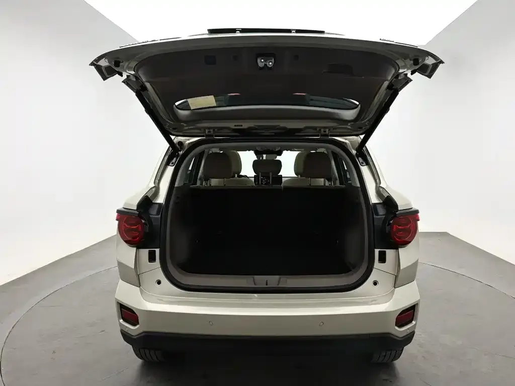 Haval Big Dog PLUS New Energy — фото 8