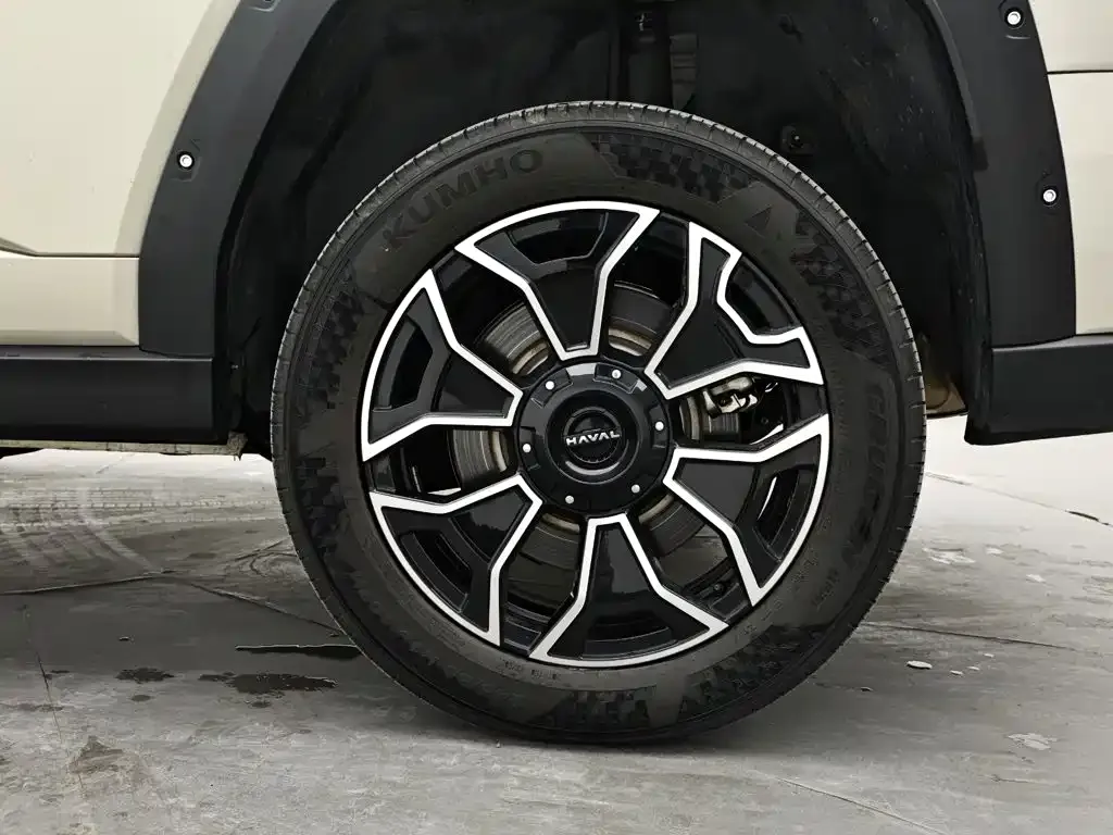 Haval Big Dog PLUS New Energy — фото 6