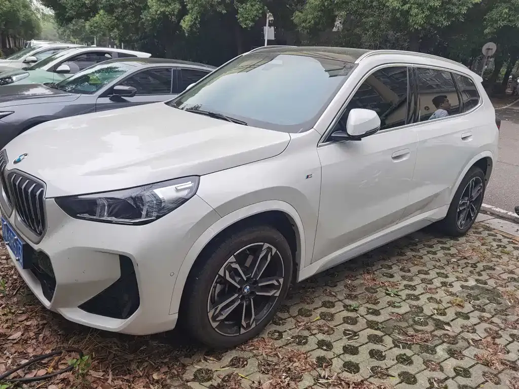 BMW X1 — фото 1