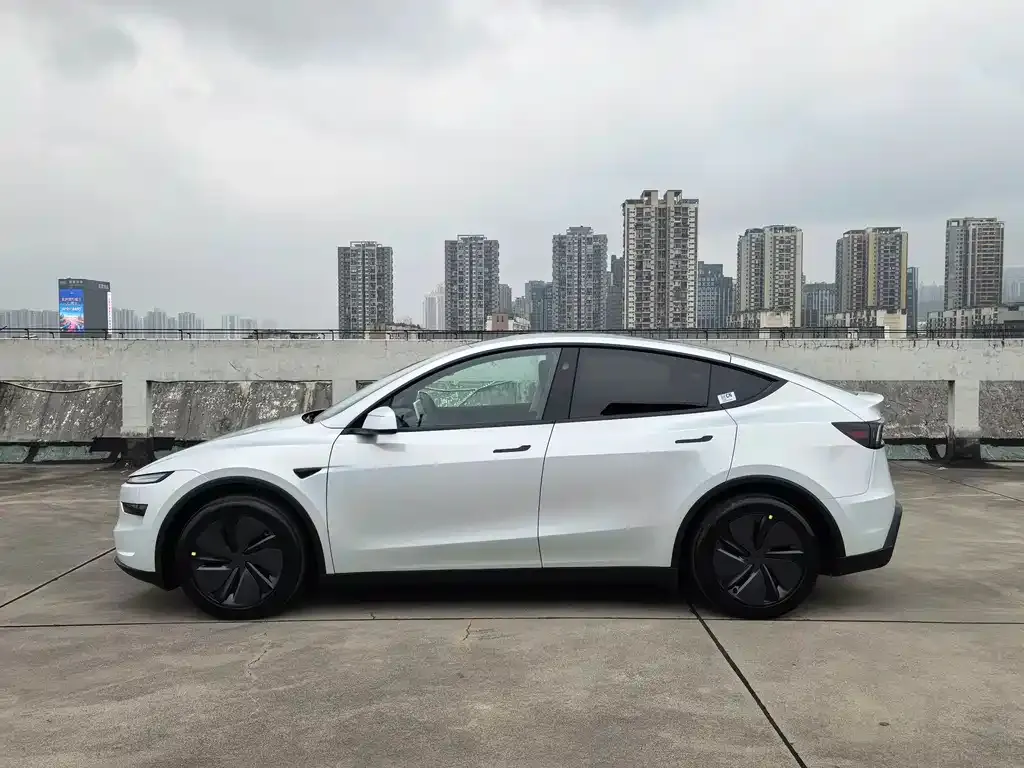 Tesla Model Y — фото 6
