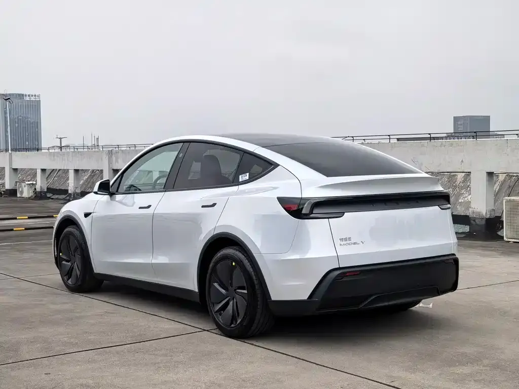 Tesla Model Y — фото 5