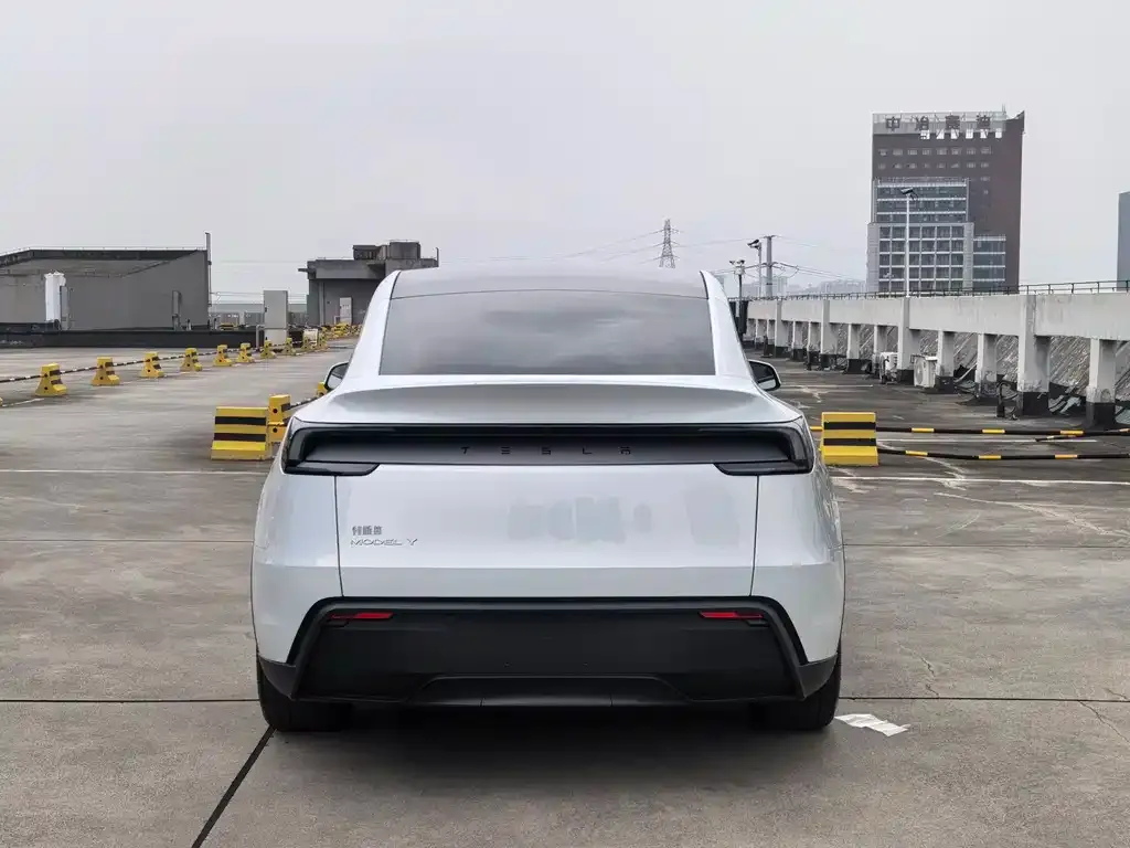 Tesla Model Y — фото 9