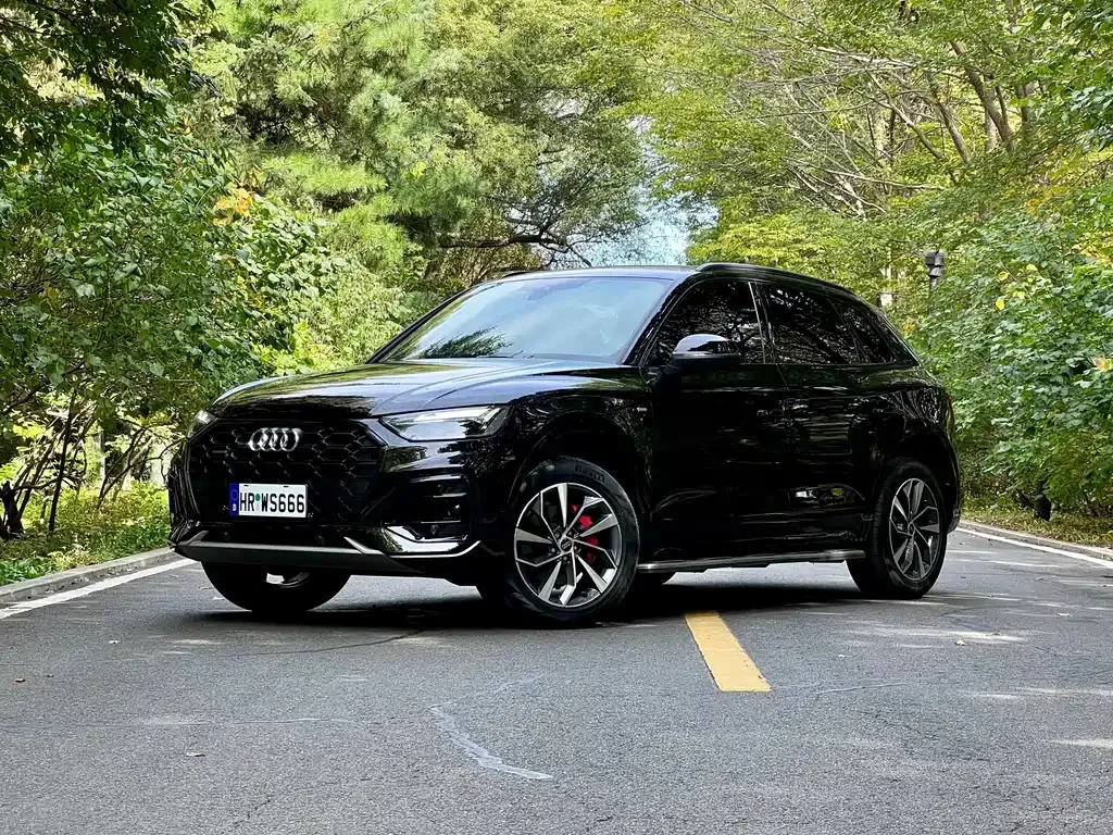 Audi Q5L — фото 1