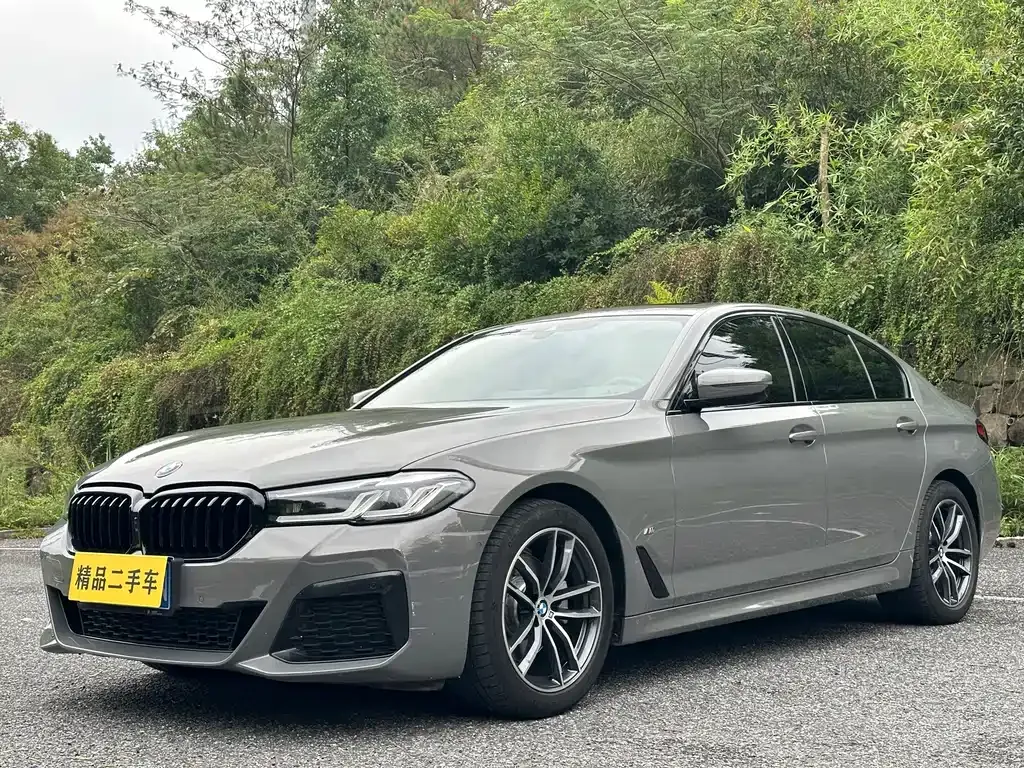 BMW 5 Series (Import) — фото 1