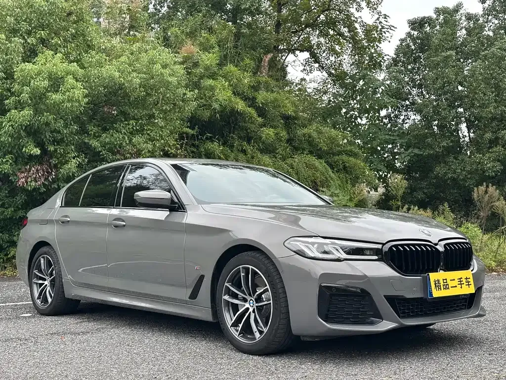 BMW 5 Series (Import) — фото 6