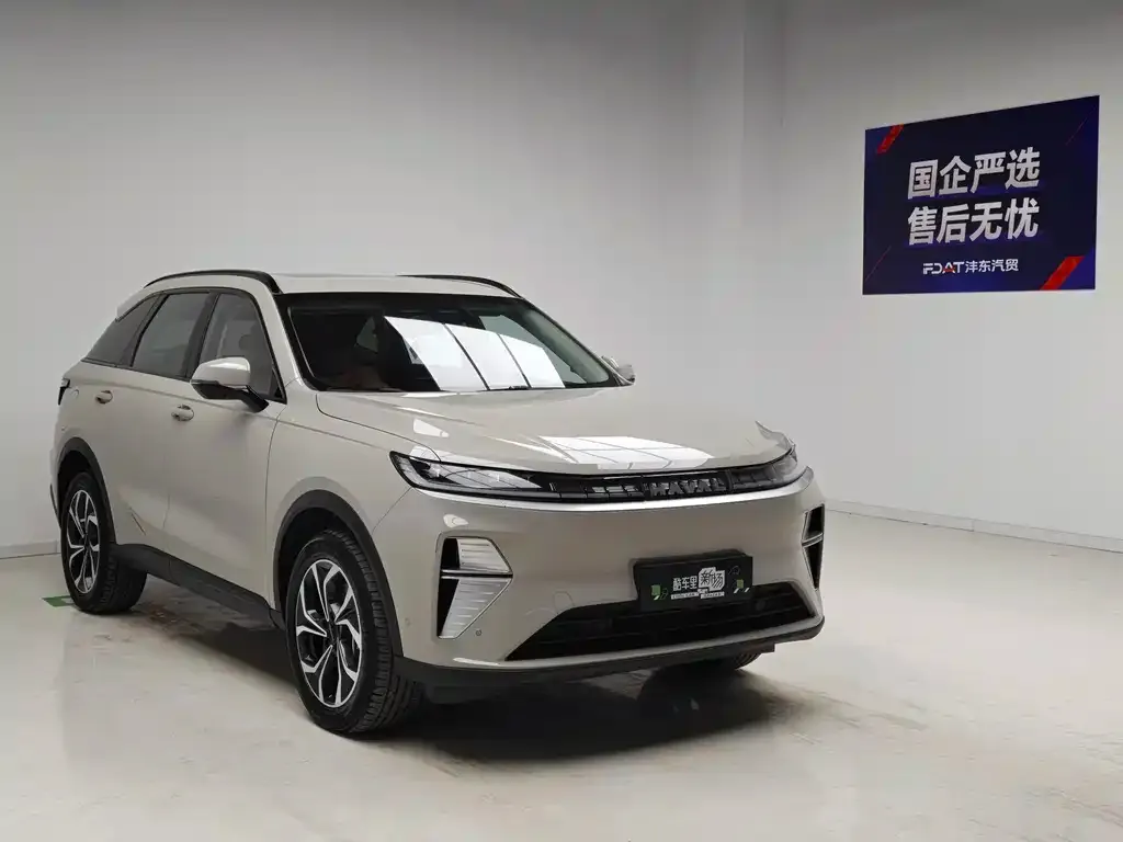 Haval Xiaolong MAX — фото 3