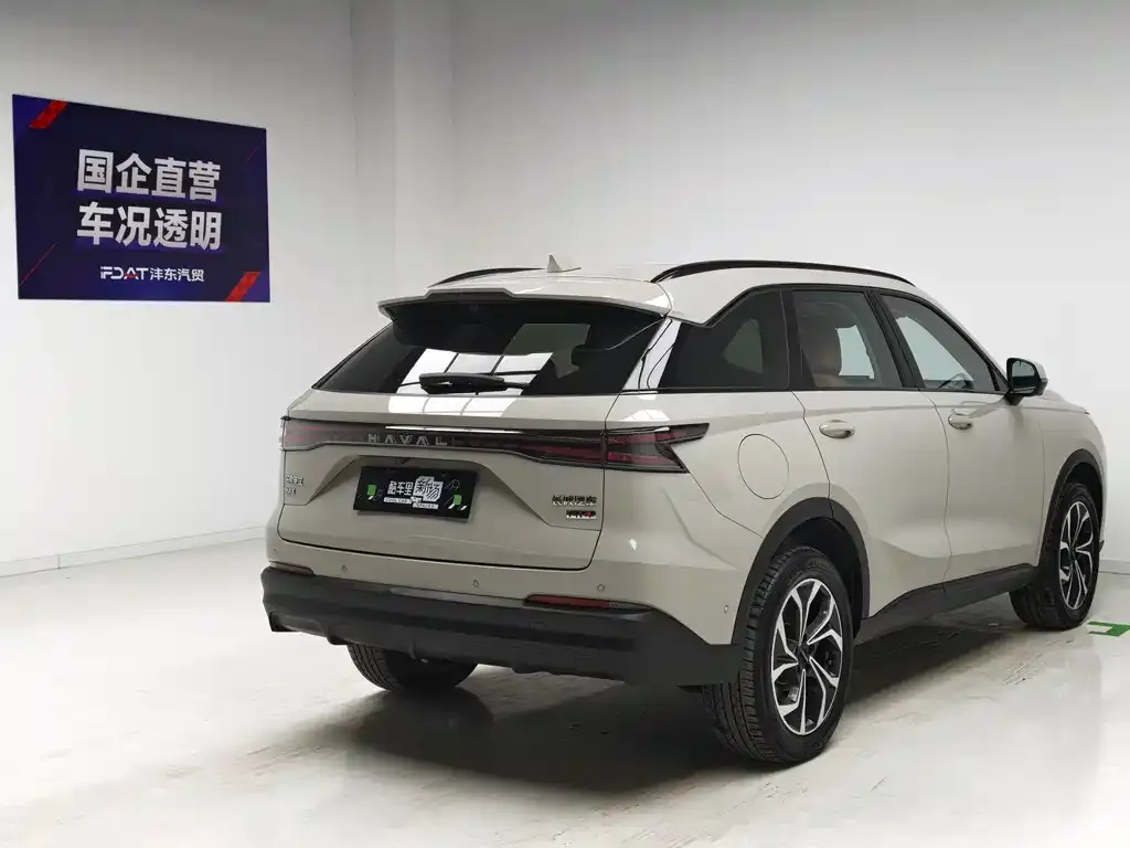 Haval Xiaolong MAX — фото 8