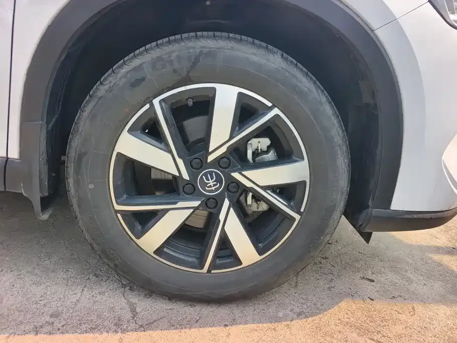 BYD Pro New Energy — фото 4