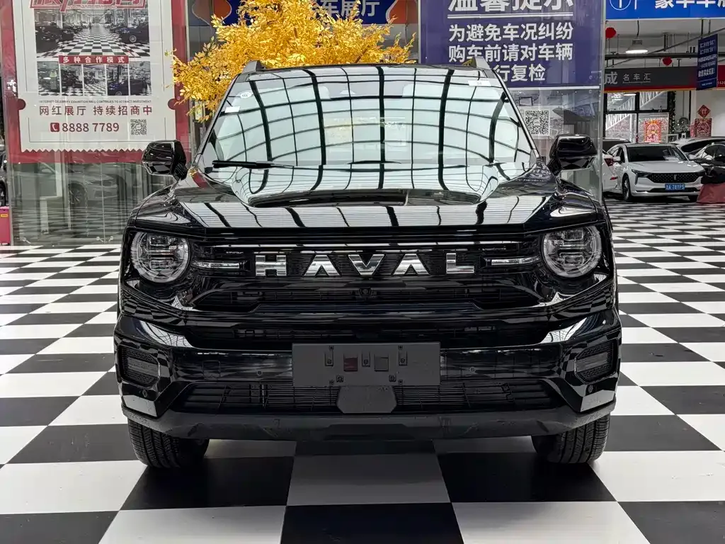 Haval Big Dog PLUS New Energy — фото 4