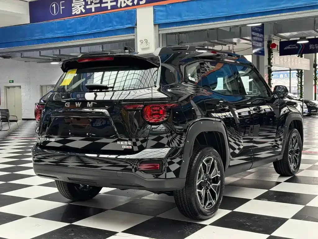 Haval Big Dog PLUS New Energy — фото 8