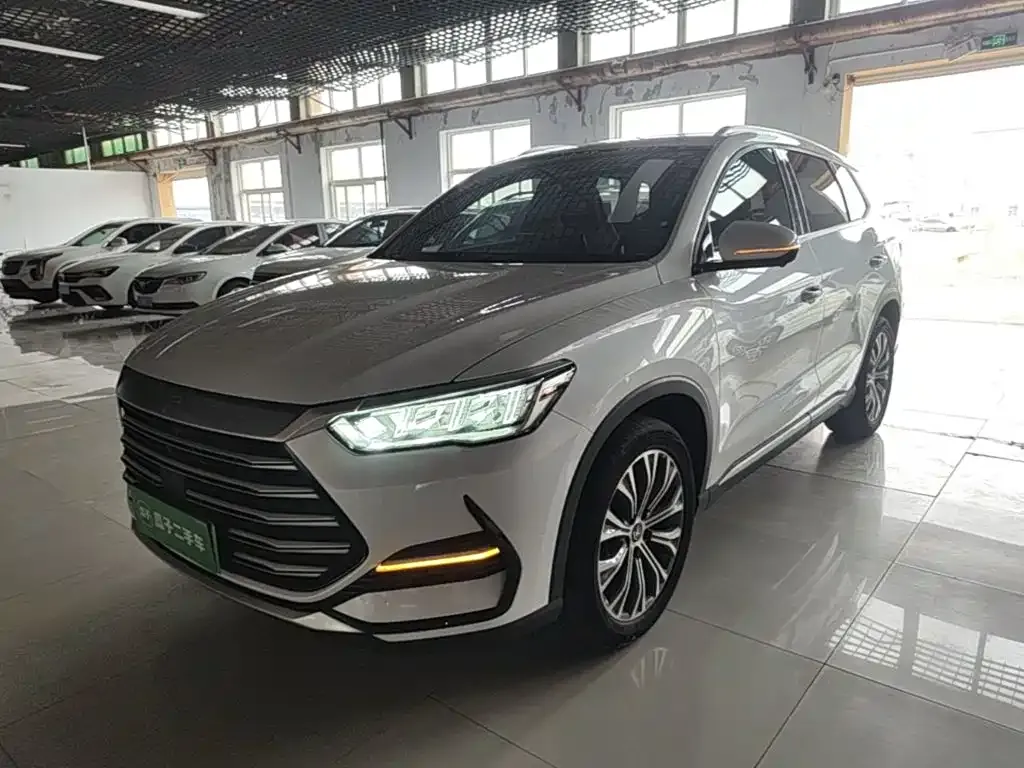 BYD Pro New Energy — фото 1