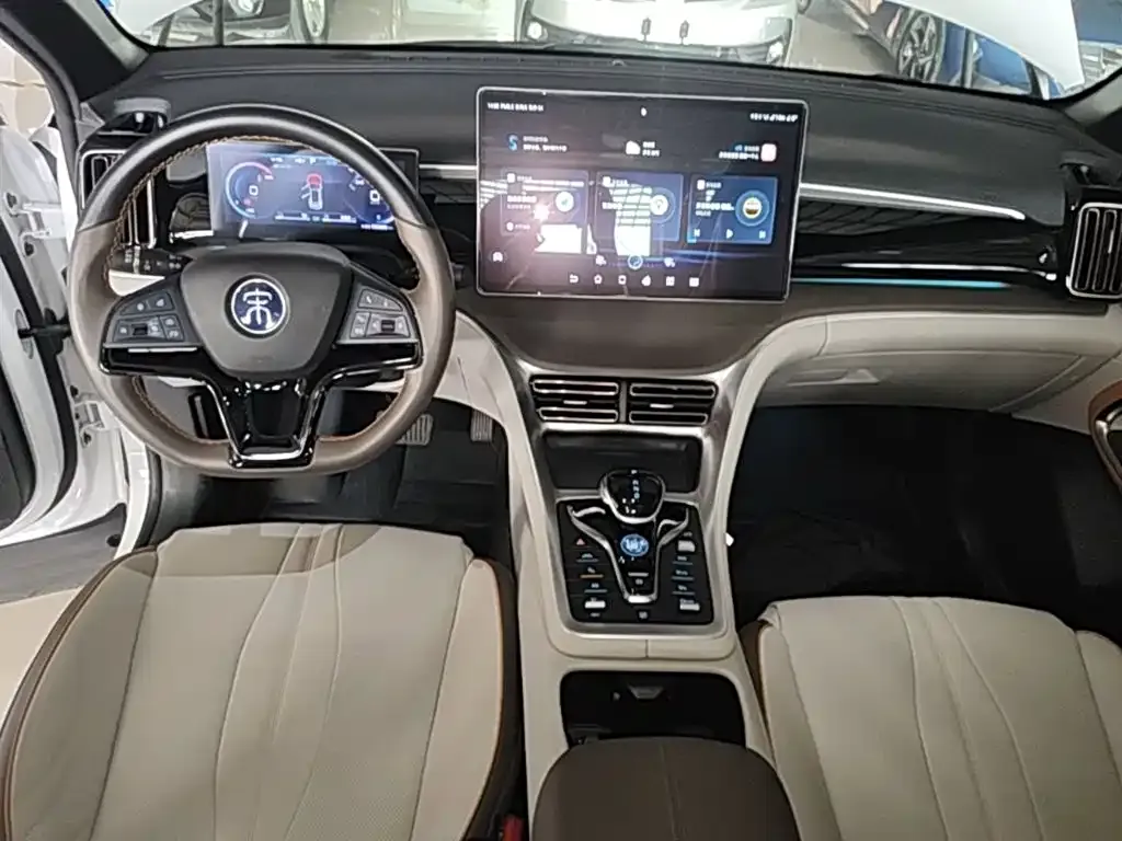 BYD Pro New Energy — фото 8