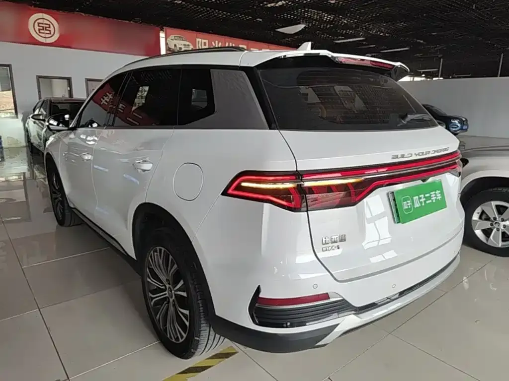BYD Pro New Energy — фото 9