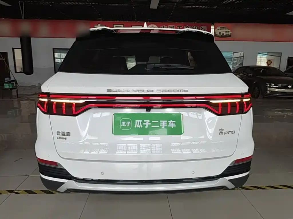 BYD Pro New Energy — фото 5