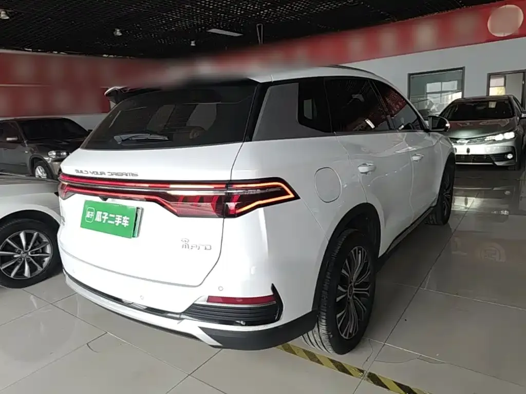 BYD Pro New Energy — фото 6