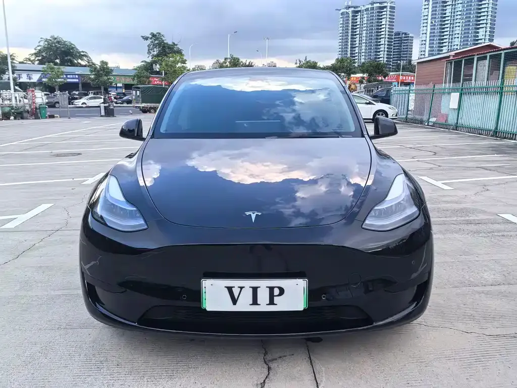 Tesla Model Y — фото 4