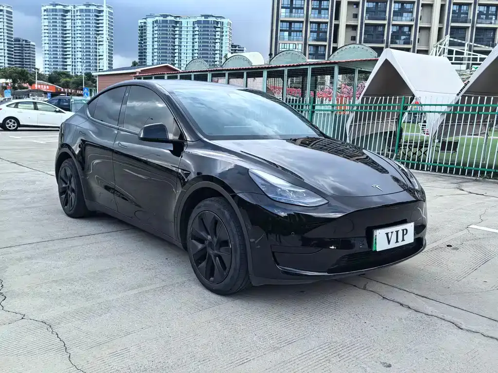 Tesla Model Y — фото 5