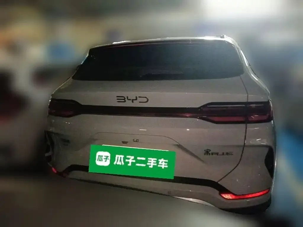 BYD PLUS New Energy — фото 6