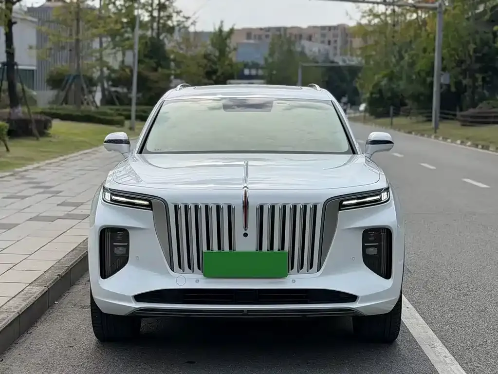 Hongqi E-HS9 — фото 8