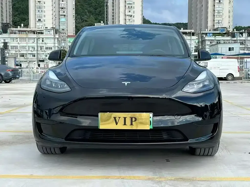 Tesla Model Y — фото 1
