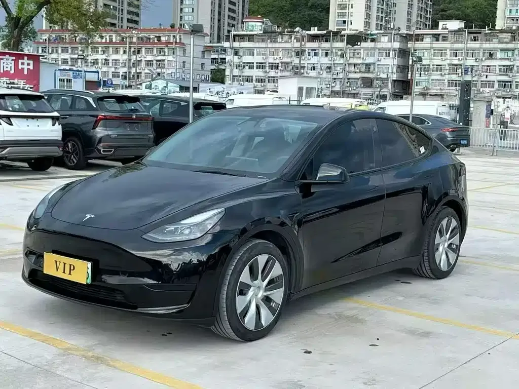 Tesla Model Y — фото 8