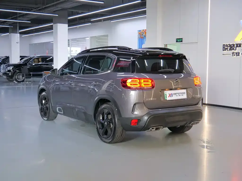 Citroen C5 AIRCROSS New Energy — фото 9