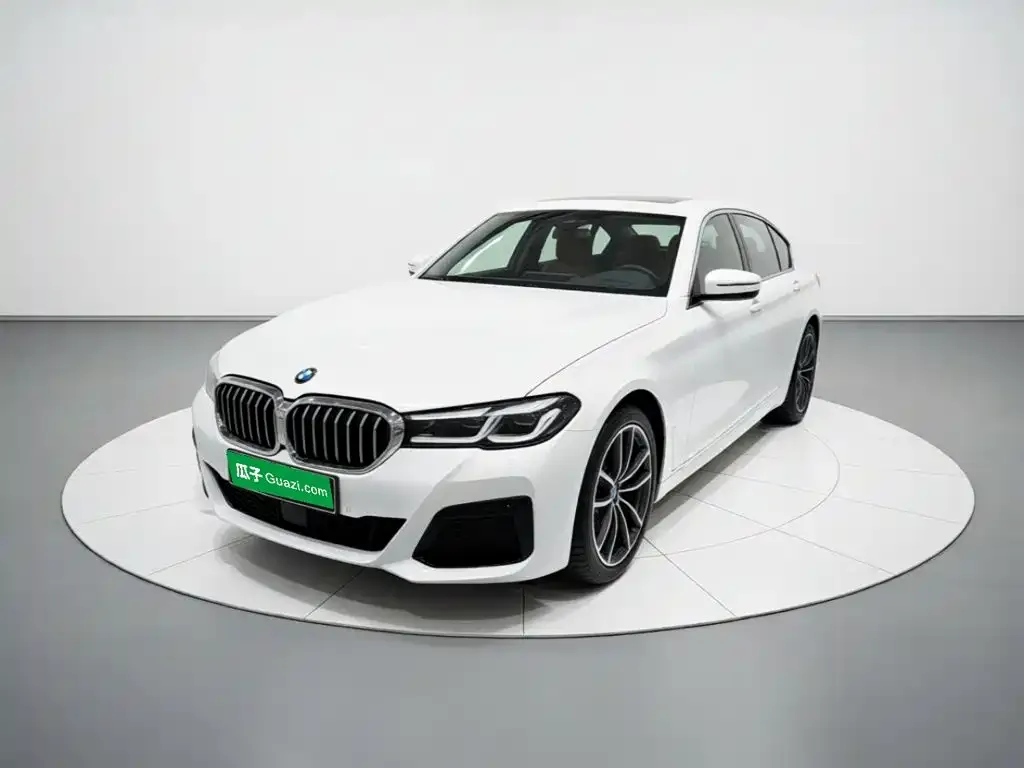 BMW 5 Series New Energy — фото 1